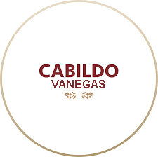 CABILDO BANNER VANEGAS