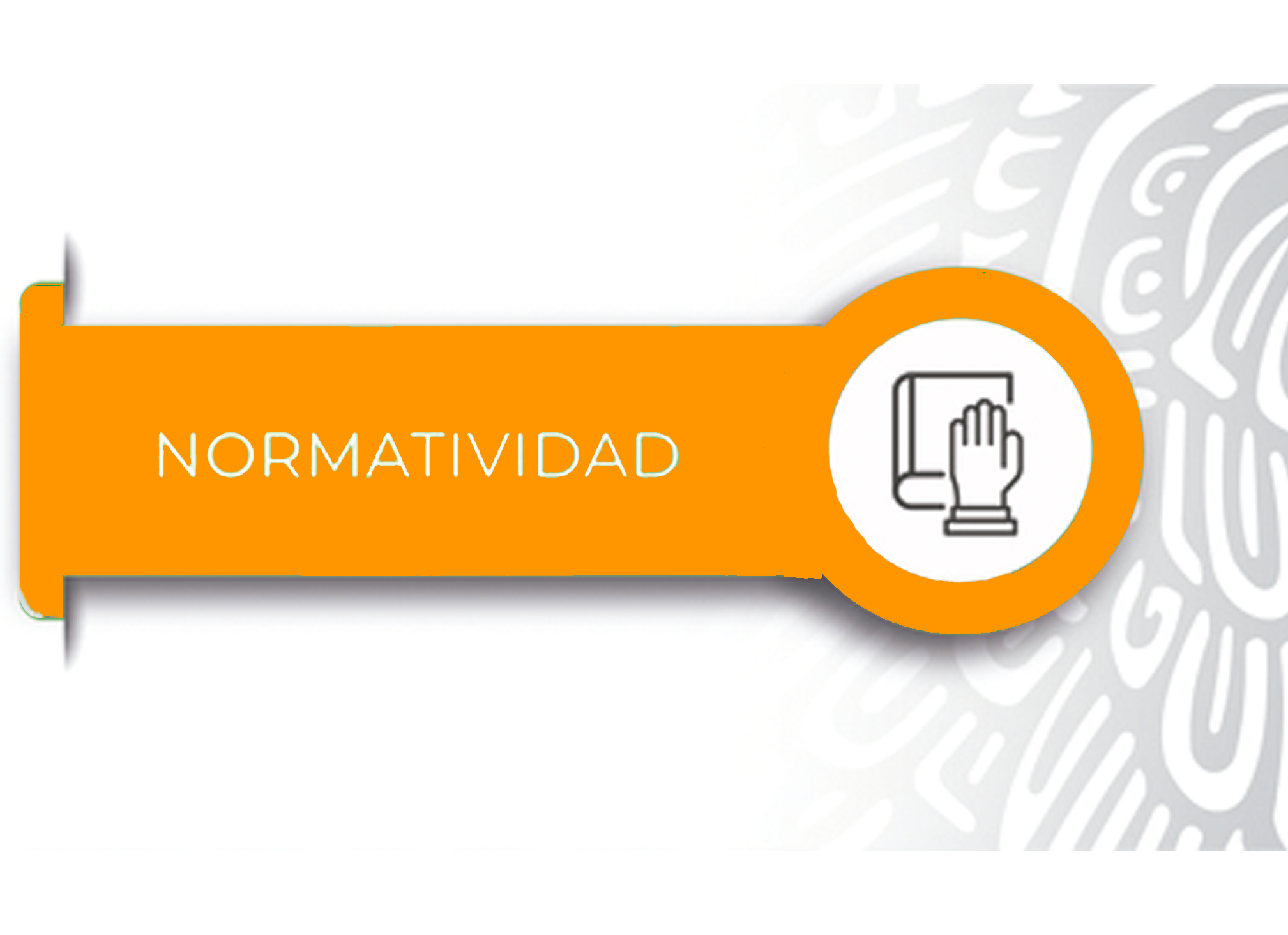 normatividad